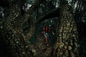 BIB: 
                            <button type="button" onclick="openModal(25691024)" class="btn btn-primary btn-sm float-right btn-popup" data-toggle="modal" data-target=".modal-high-quality">
                        <i class="fas fa-shopping-cart"></i> Add to Cart
                    </button>
                                            <button type="button" onclick="isThisMe(25691024, true)" class="btn btn-success btn-sm float-right btn-popup btn-isme hidden" data-toggle="tooltip" data-placement="bottom" title="นี่คือรูปของคุณใช่ไหม คลิกที่นี่เพื่อเอาเข้าอัลบั้ม">
                        <i class="fas fa-plus"></i> Add to album
                    </button>
                    <button type="button" onclick="isThisMe(25691024, false)" class="btn btn-warning btn-sm float-right btn-popup btn-isnotme hidden">
                        <i class="fas fa-ban"></i> Remove from album
                    </button>